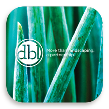 Case Study - DBL Landscaping